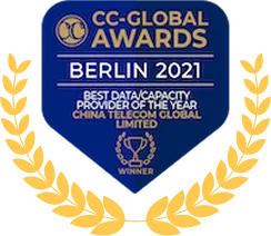 2021 Best  Data/Capacity  Provider